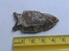 Arrowhead
