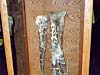 Edmontosaurus bones on display