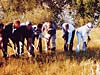 Groundbreaking for new museum