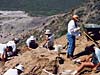 Hadrosaur excavation