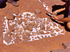 Surface bones found by Lou may be of Riojasaurus incertus